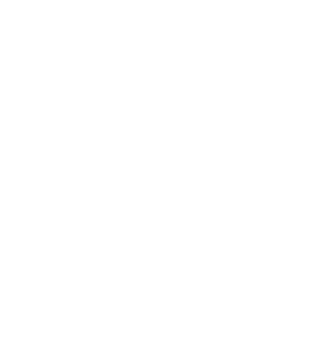 logo avocat Simona Stolerciuc Suceava